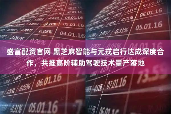 盛富配资官网 黑芝麻智能与元戎启行达成深度合作,共推高阶辅助驾驶技术量产落地