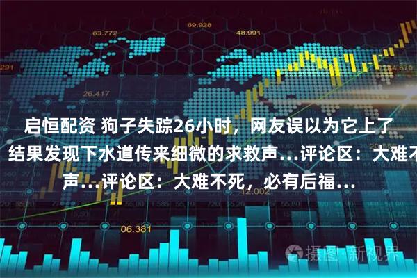 启恒配资 狗子失踪26小时，网友误以为它上了餐桌快要崩溃了，结果发现下水道传来细微的求救声…评论区：大难不死，必有后福…